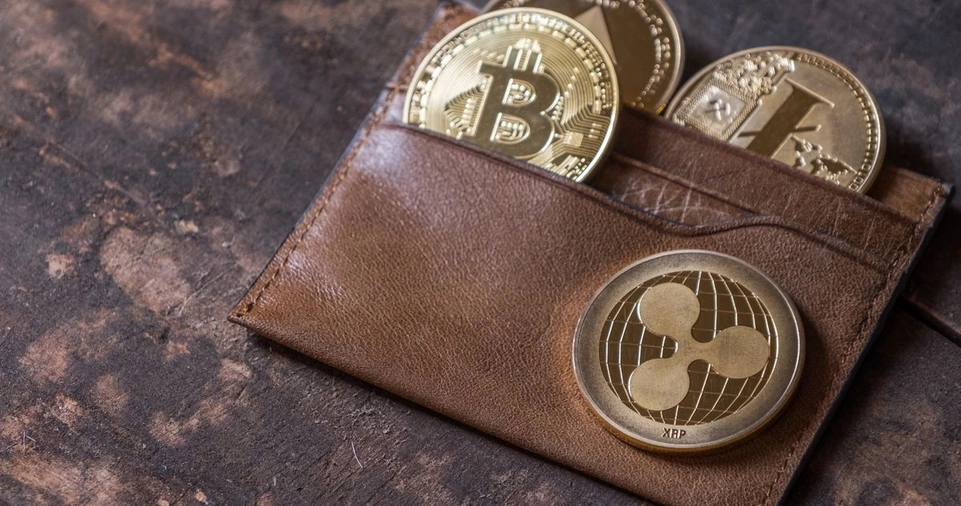 Types of Crypto Wallets